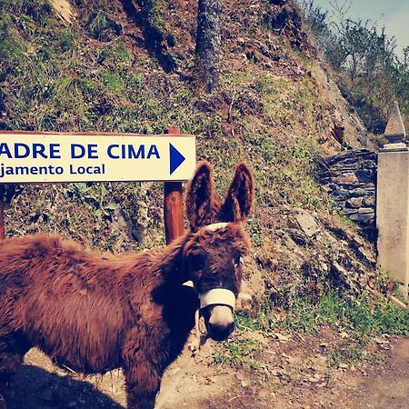 Alojamento Local Madre De Cima 维尼艾什 外观 照片