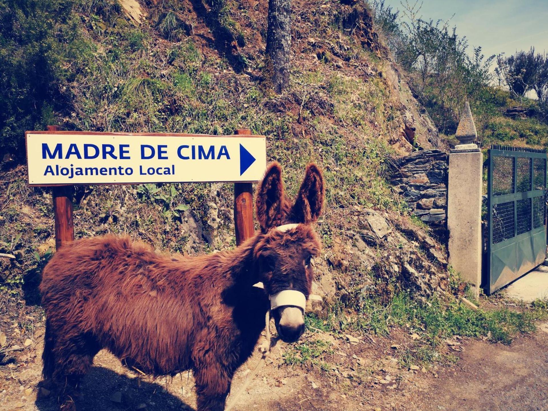 Alojamento Local Madre De Cima 维尼艾什 外观 照片